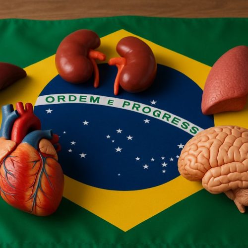 Como Funciona a Doação de Órgãos no Brasil